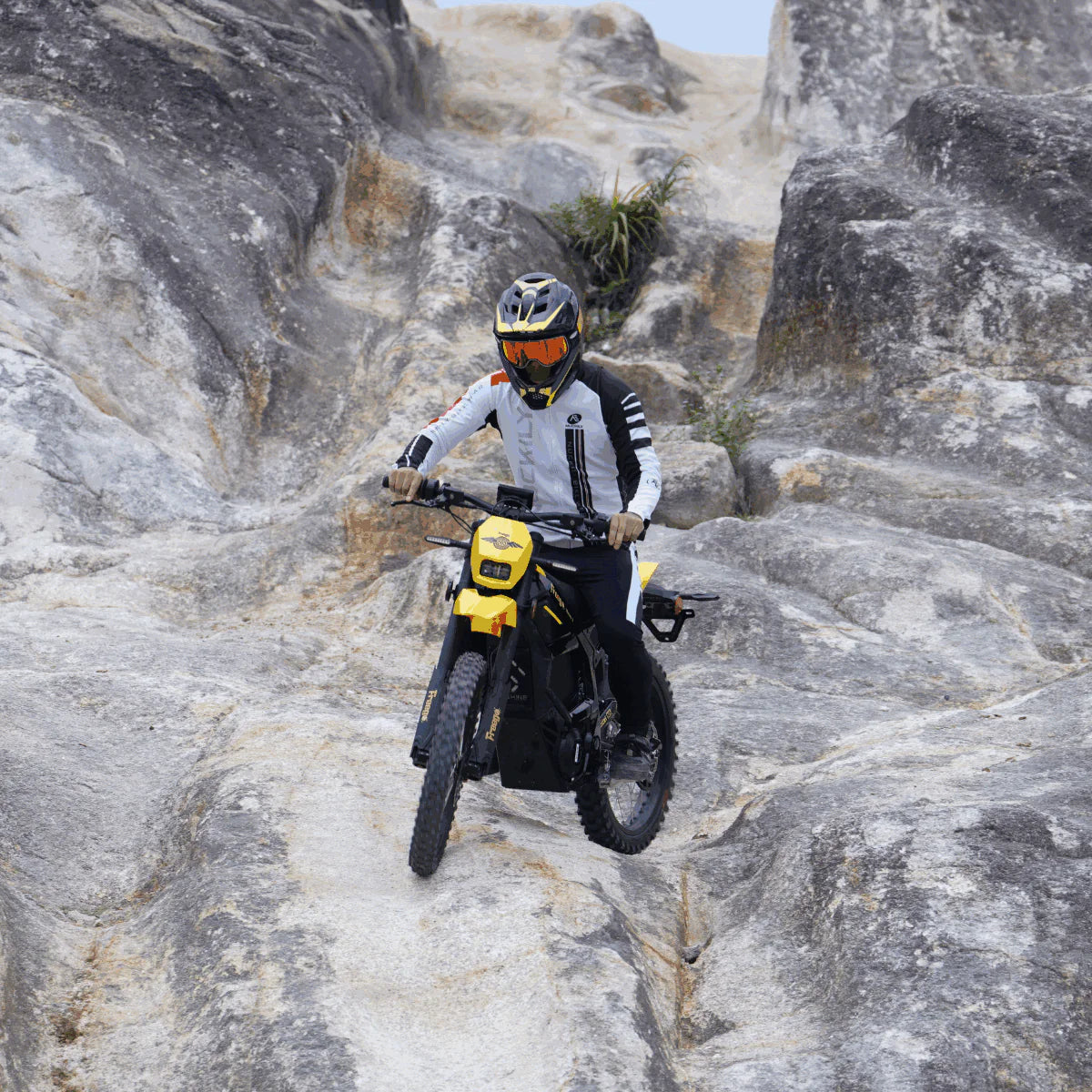 Freego Nova 5 – Mid-Drive Electric Dirt Bike