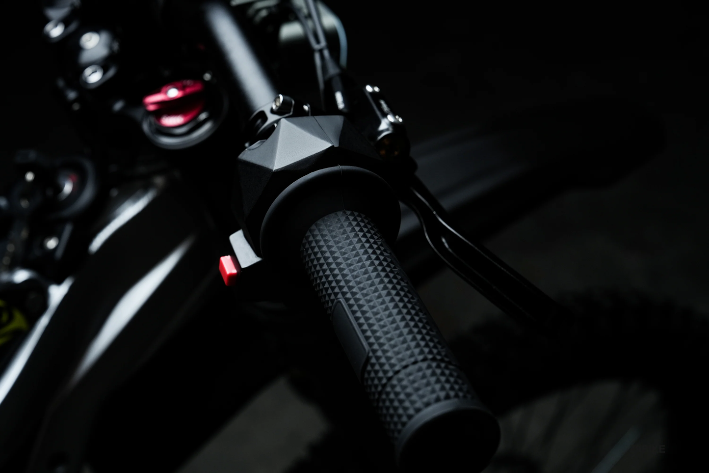 79BIKE Falcon Pro
