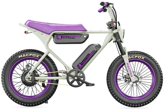 Macfox E-bike X1S x Bs.zay