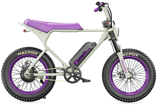 Macfox E-bike X1S x Bs.zay