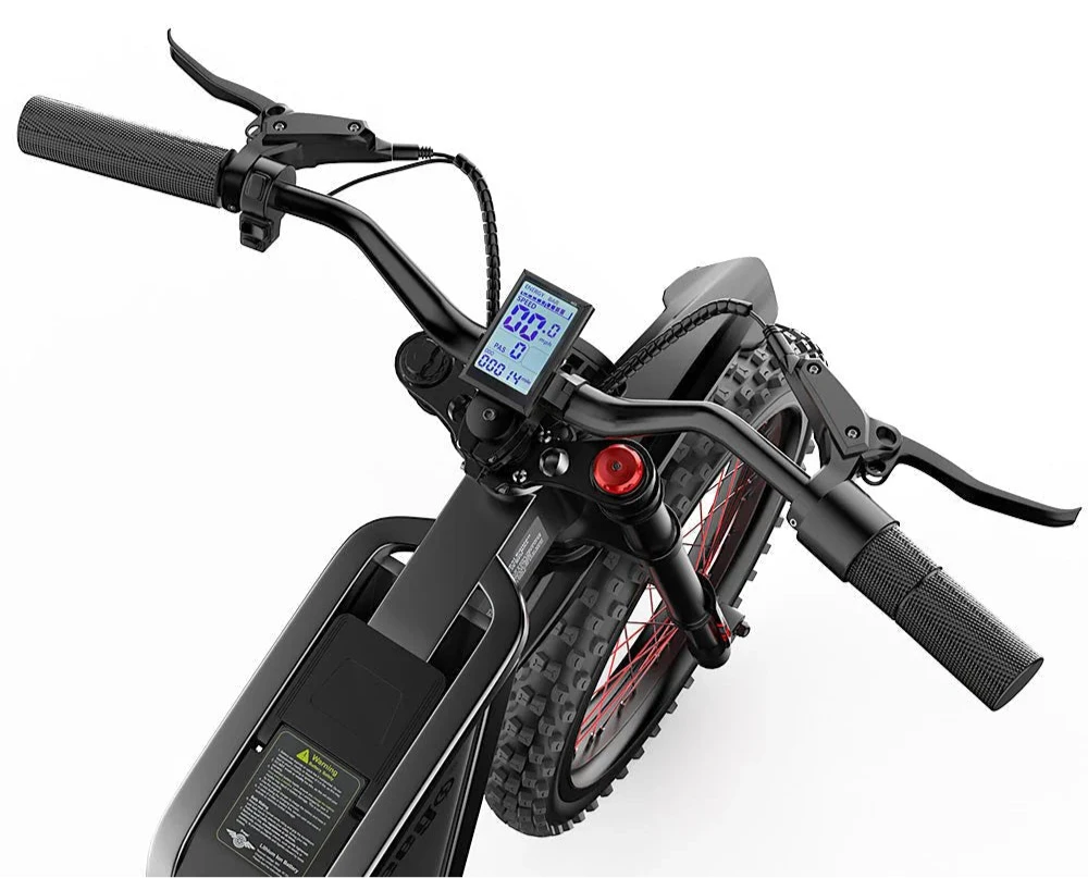 Freego X2 Pro All-Terrain Dirt eBike