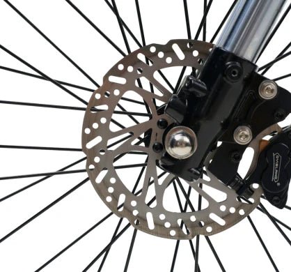 GT73 Electric Dirt Bike - zappscycleszappscycles