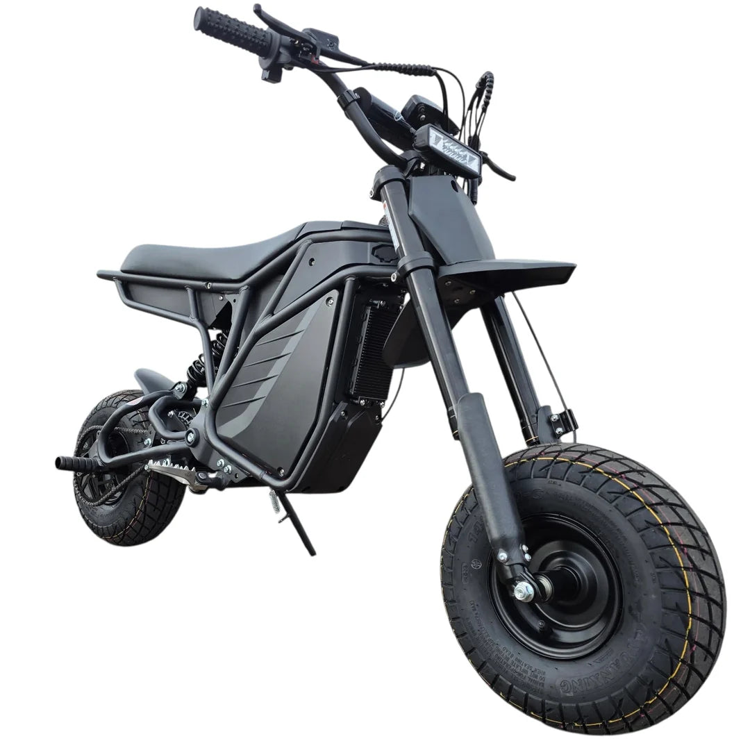 Electro & Co The Rizzler | High Power Stunt Bike | 60V 50MPH – Emoto ...