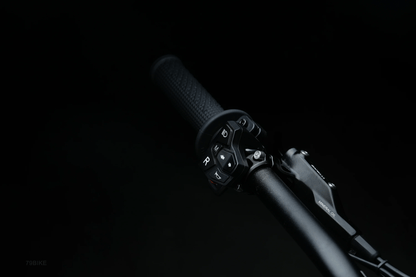 79BIKE Falcon Pro - Emoto SuperstoreEmoto Superstore