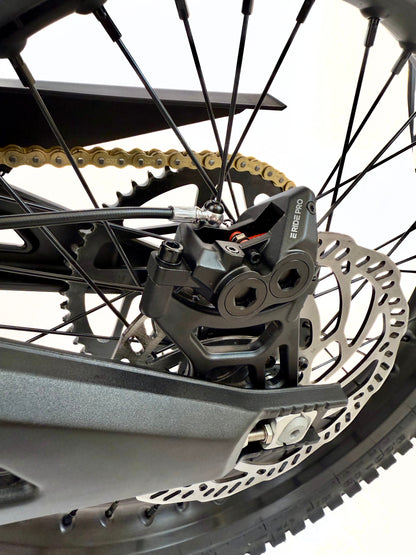 E Ride Pro SS 2.0