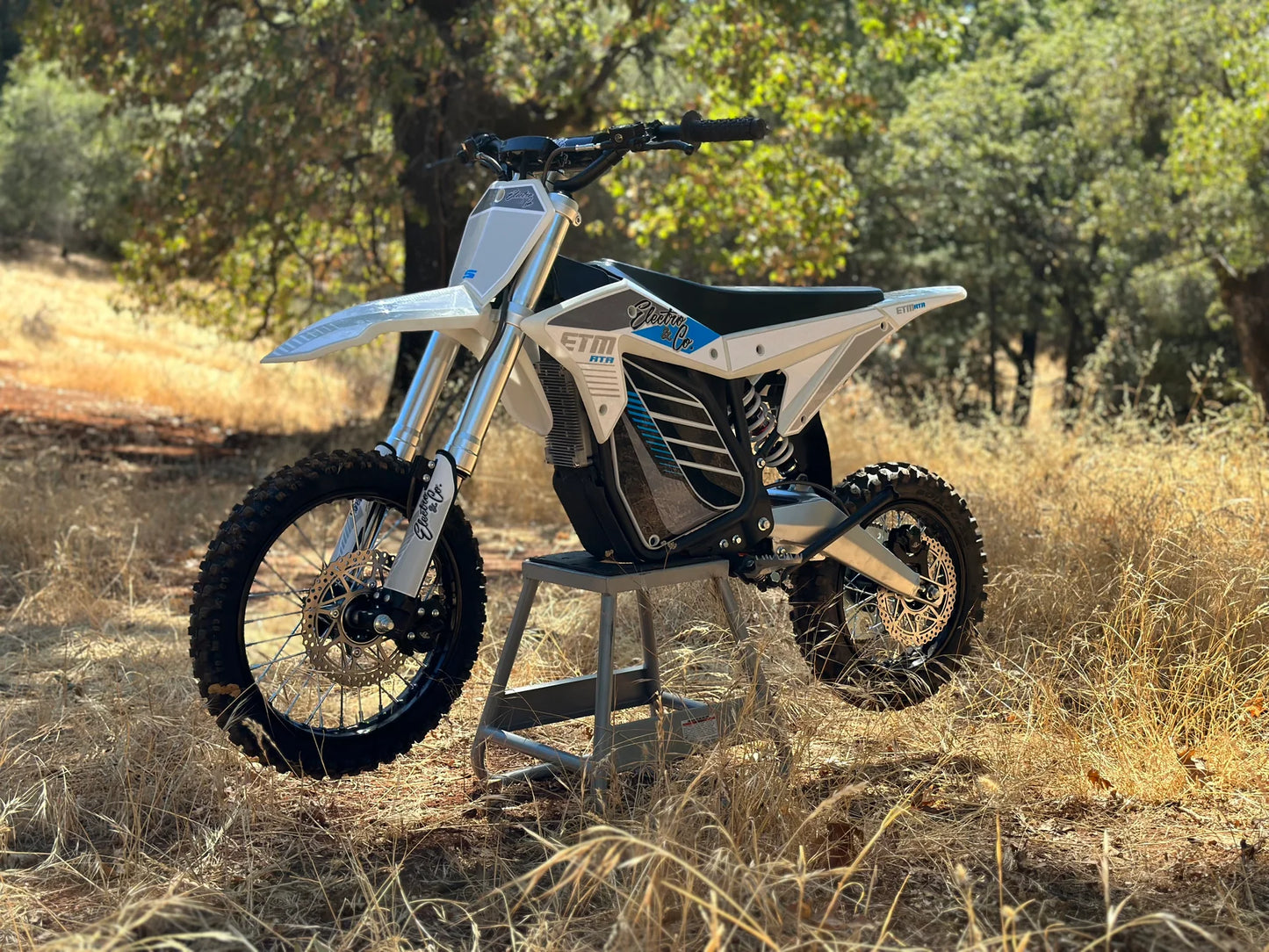Electric motorcycle on a stool in a natural setting with trees and dry grass.