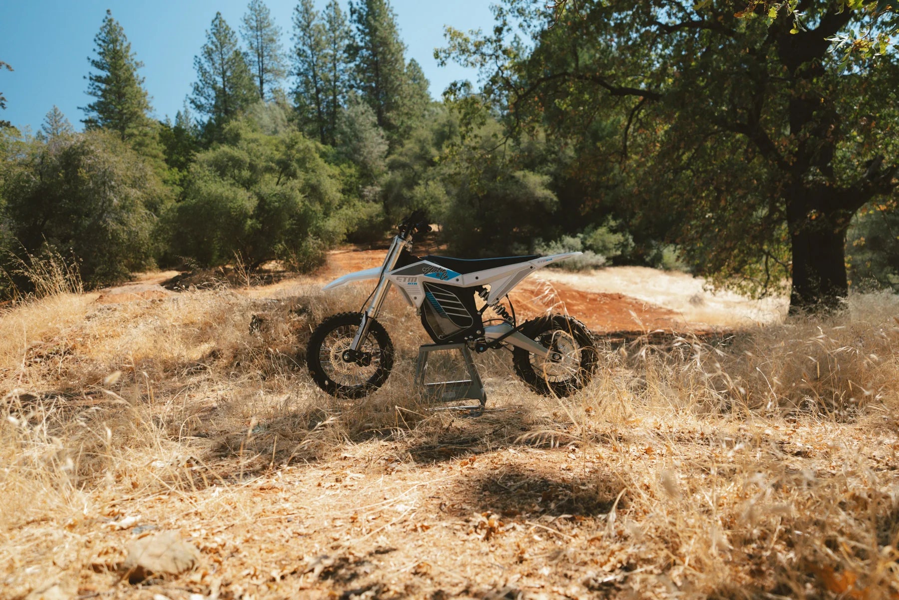 Motorcycle parked in a forest clearing with trees and dry grass.