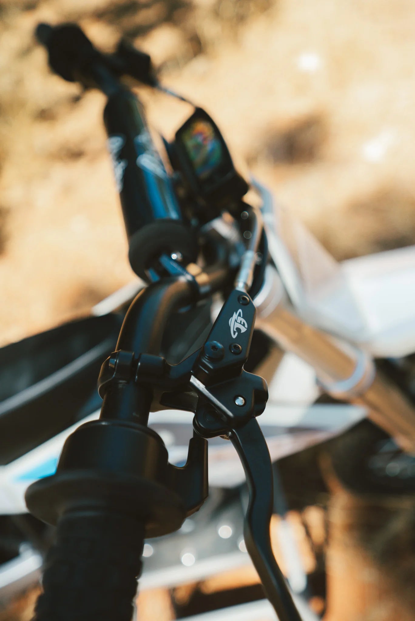 Close-up of a bow and arrow with a blurred background