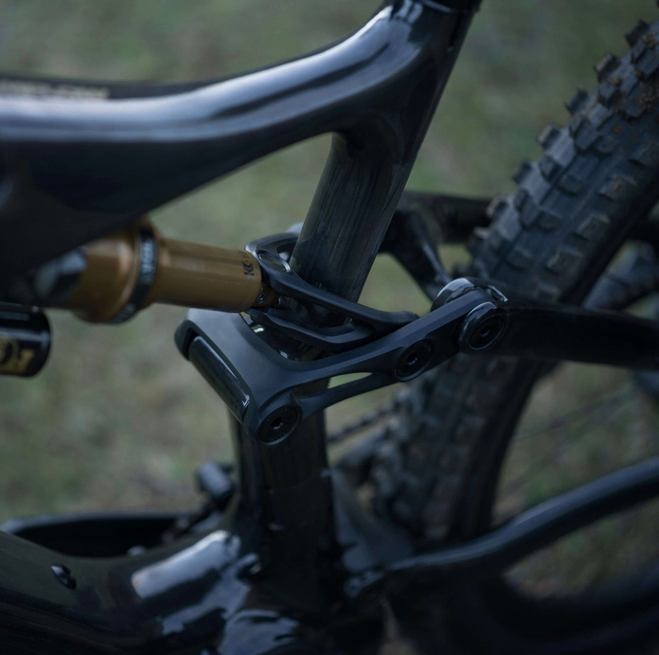 Amflow PL Carbon (800 Wh)