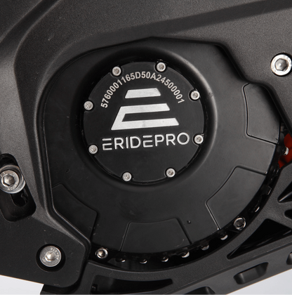 E Ride Pro SR (19"/18") -
