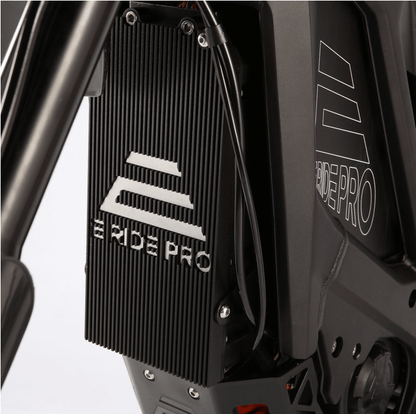 E Ride Pro SR (19"/18") -