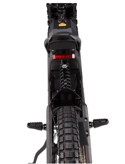 E Ride Pro S - zappscycleszappscycles