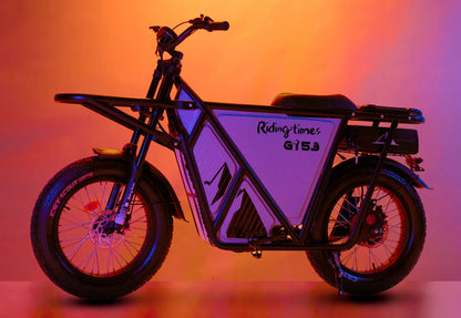 GT53 Utility E bike - zappscycleszappscycles