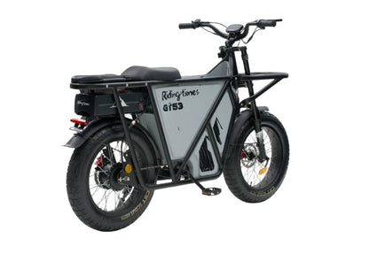 GT53 Utility E bike - zappscycleszappscycles