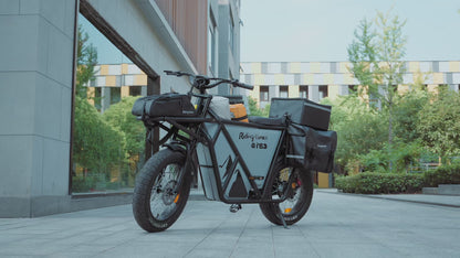 GT53 Utility E bike