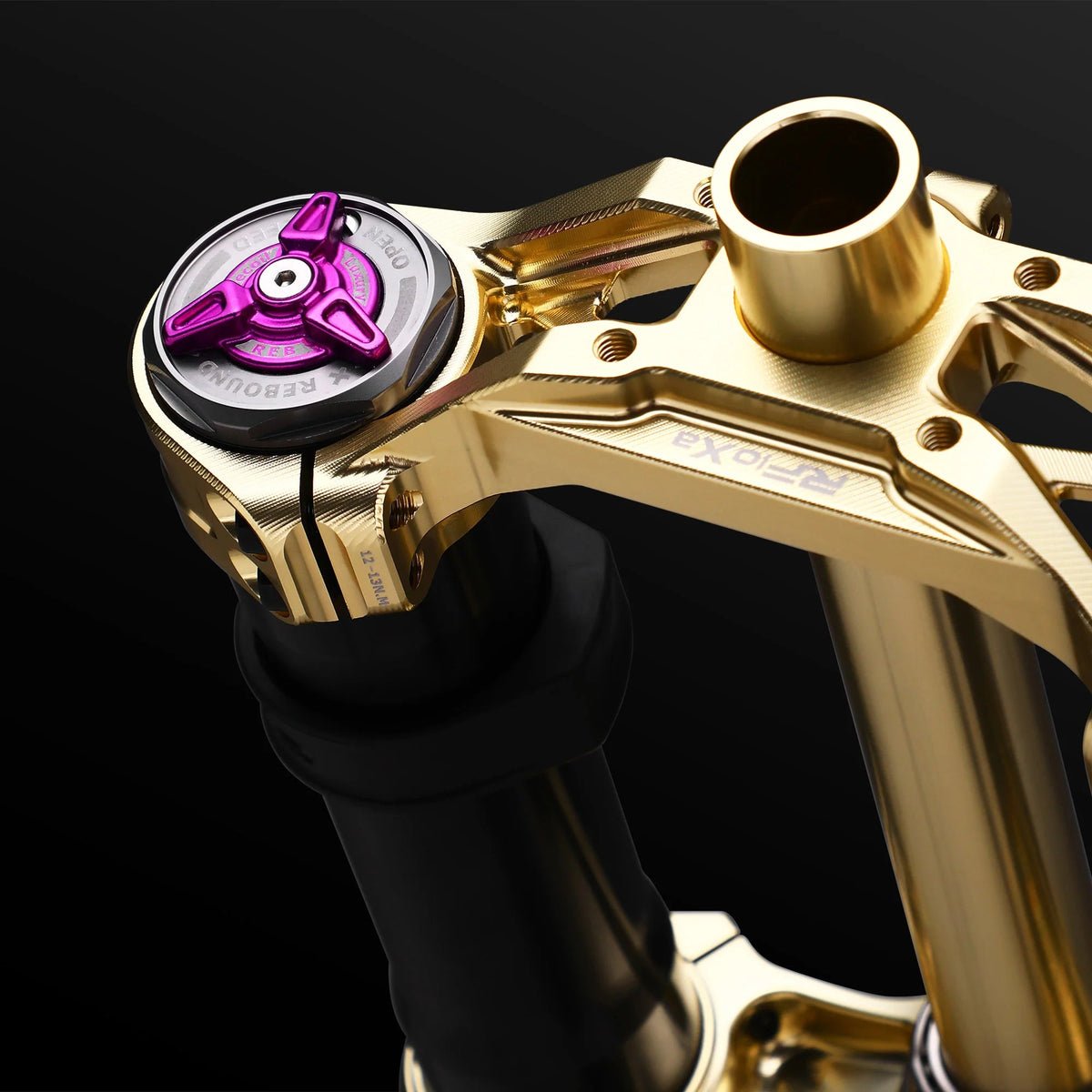 RFloXa Hawk31 Max (Gold) + Triple Clamp | Performance Suspension