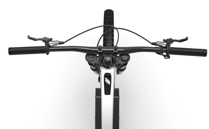 Boltric X Pro (6500w)