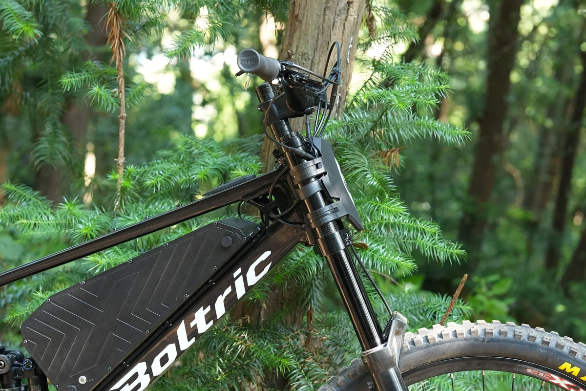 Boltric X Max (6500W)