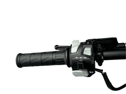 Throne SRPNT X3 E - MOTO 13KW - Emoto SuperstoreElectric Off - Road BikesEmoto Superstore