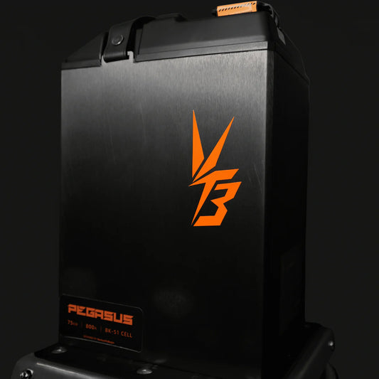 Ventus Ultra Bee Battery 96V 56AH